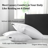 Downluxe Goose Down Pillows
