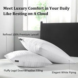 Downluxe Goose Down Pillows