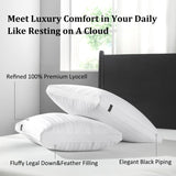 Downluxe Gusseted Goose Down Pillow