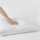 Downluxe Goose Down Pillows