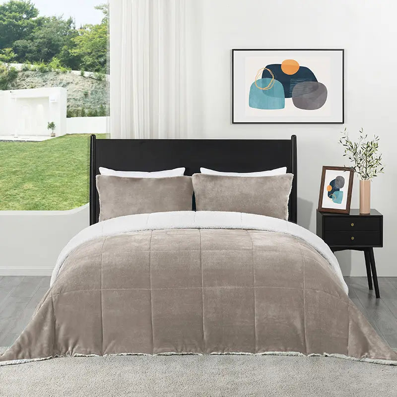 Downluxe Fall Winter Ultra Warm Micromink Soft Sherpa Comforter Set Sand Twin