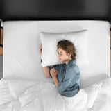 Downluxe Gusseted Goose Down Pillow