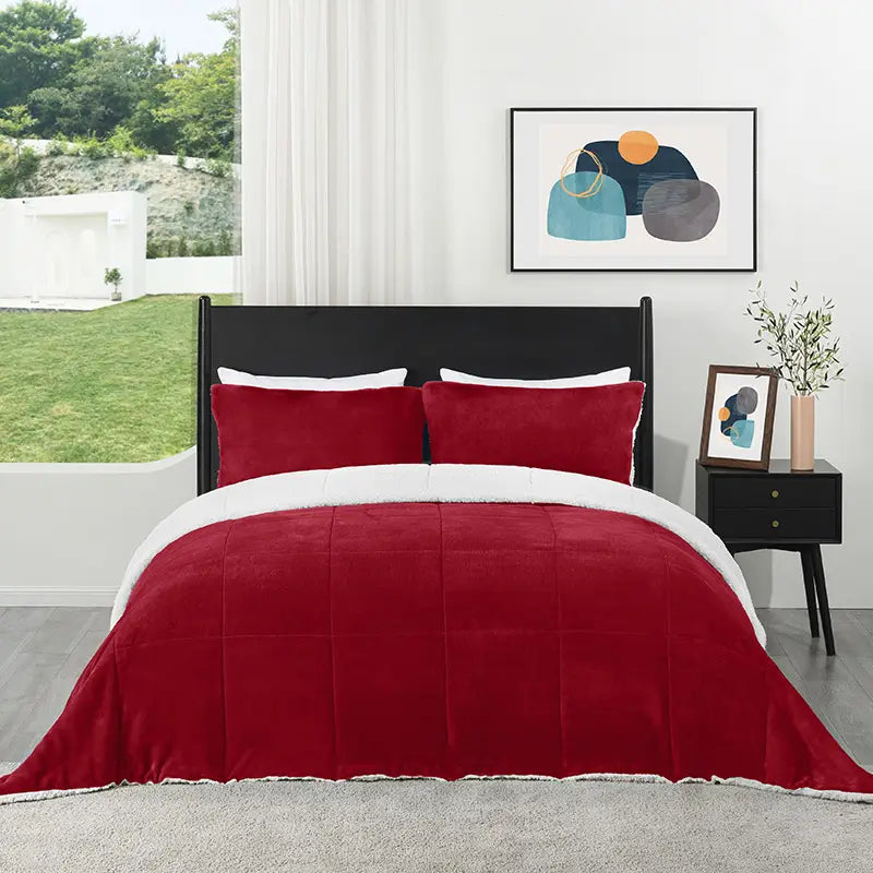 Downluxe Fall Winter Ultra Warm Micromink Soft Sherpa Comforter